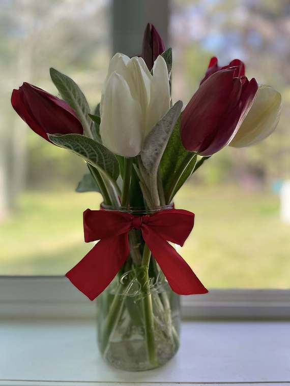 Tulips with a red velvet bow